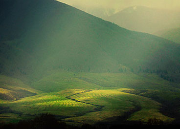 电话短信轰炸机