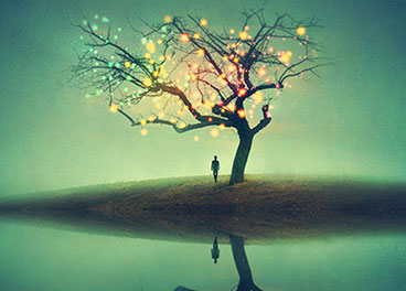 在线手机号轰炸机